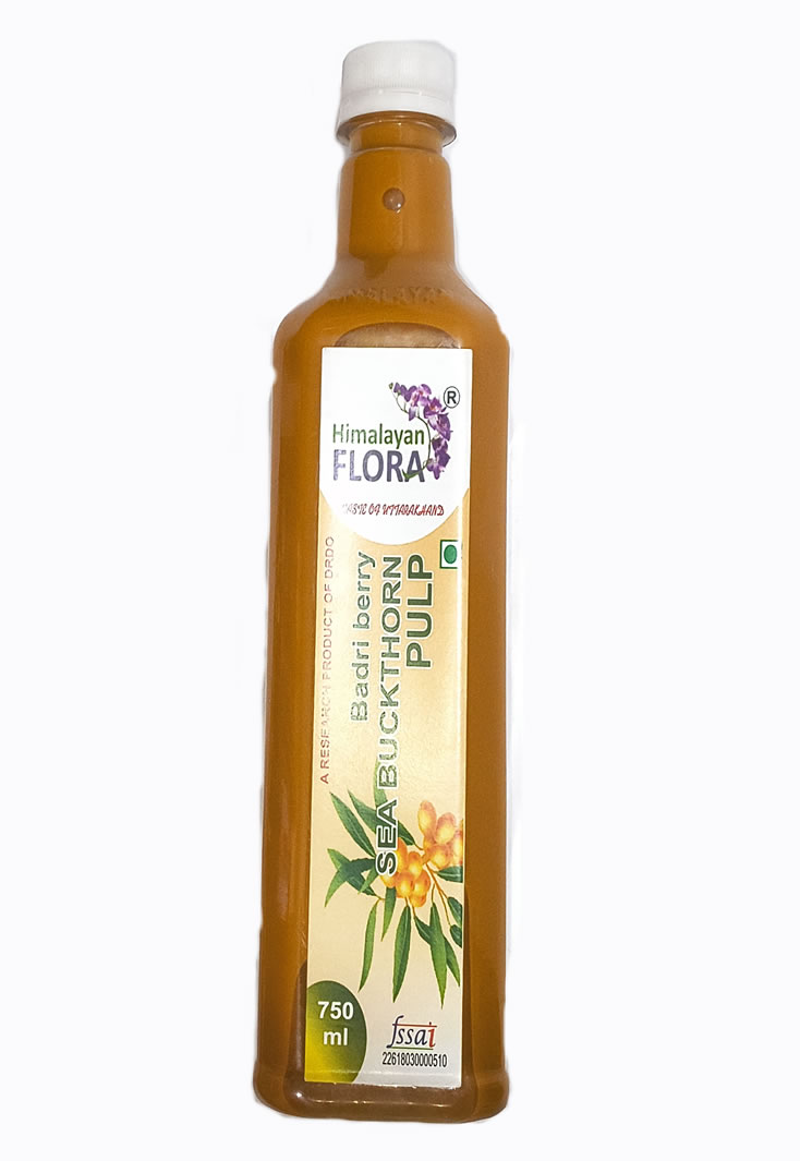 Sea Buckthorn Concentrate 500ml