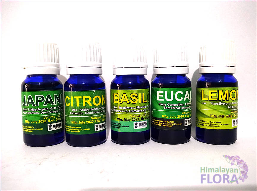 Basil Tulsi Oil