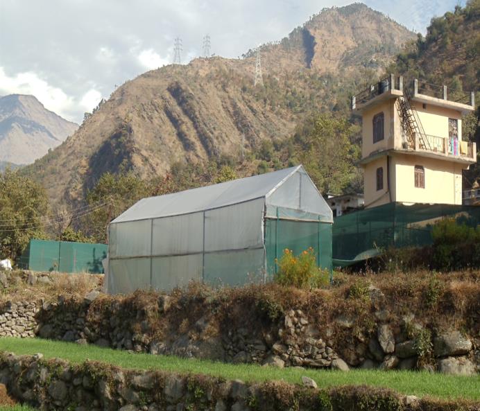 Polyhouse against the mountains