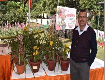 Orchid plants on display at a flower show