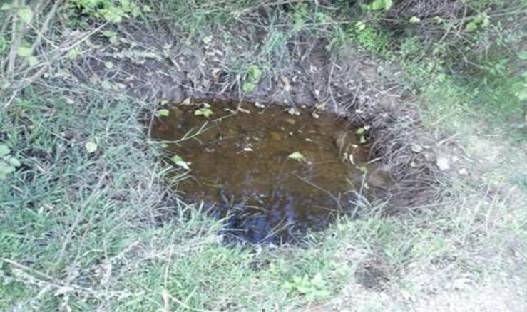 A small village pond holding water