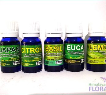 Basil (Tulsi) Oil