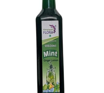 Mint Ginger Lemon Squash  500ml