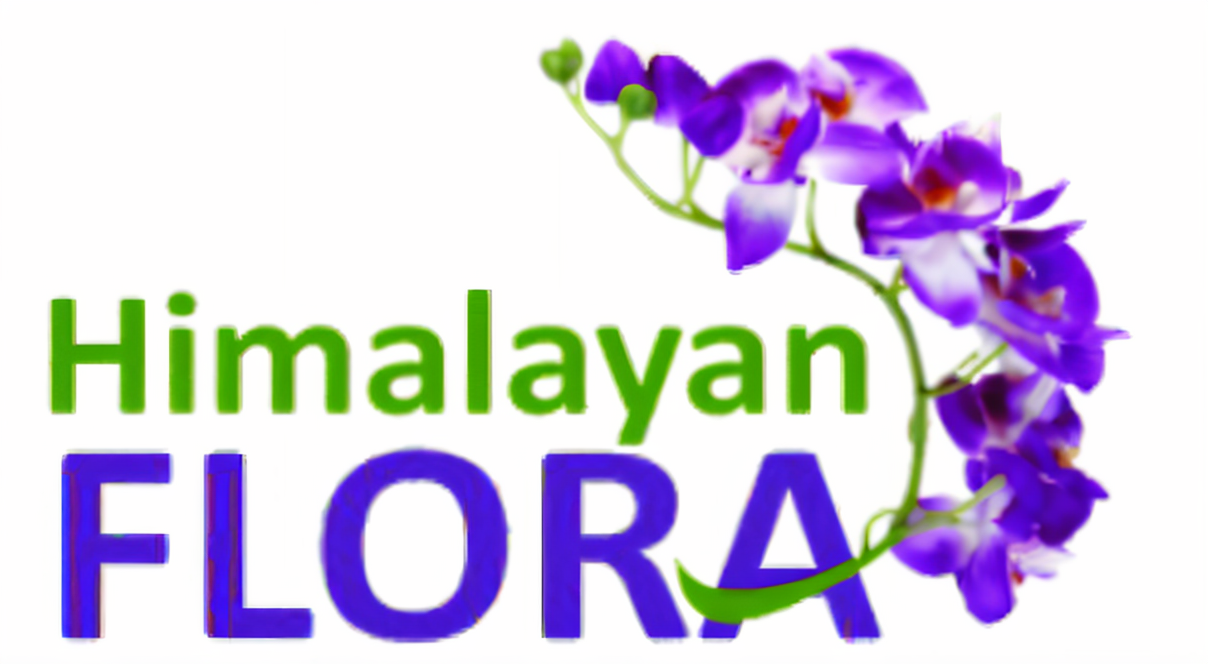 Himalayan Flora Organic Store